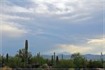 Tucson_(67).JPG