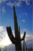 Tucson_(77).JPG