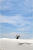 White_Sands_(235).JPG