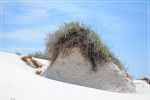 White_Sands_(240).JPG