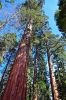 Yosemite___Mono_Lake_(149).JPG