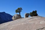 Tioga Pass