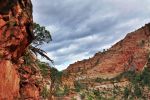 Zion_(47).jpg