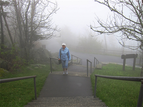 zum Clingmans Dome
