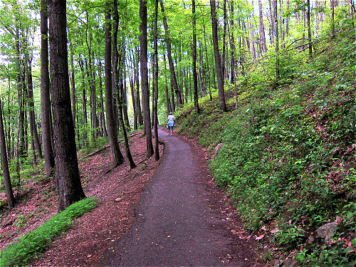 Wanderweg zu den Laurel Falls
