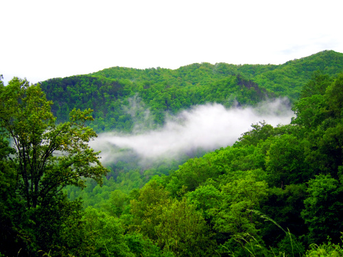Blue Ridge Mountains
