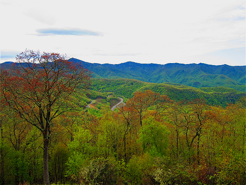 Blue Ridge Parkway
