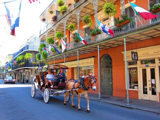 New Orleans
