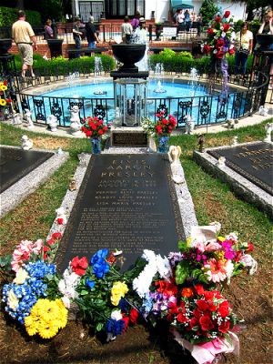 grab elvis graceland
