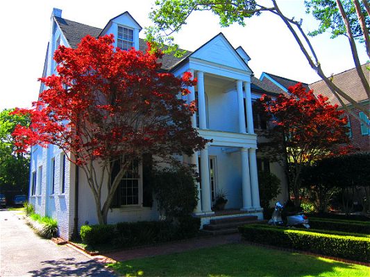 Charleston

