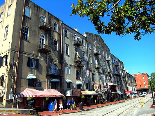 Savannah
