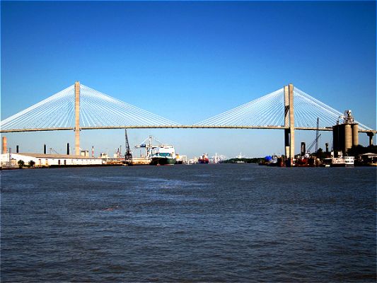 Savannah
