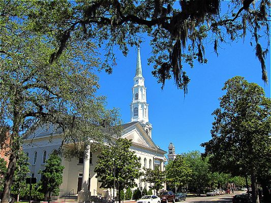 Savannah
