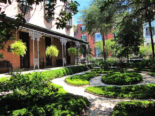 Savannah

