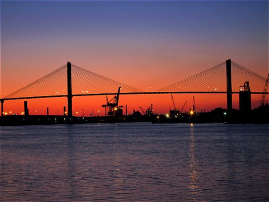 Savannah
