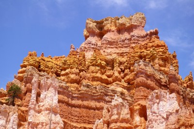 Bryce Canyon
Felsformationen entlang des Queens Garden Trails im Bryce Canyon.
Schlüsselwörter: Bryce Canyon, Utah