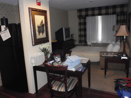 P7280166a.jpg