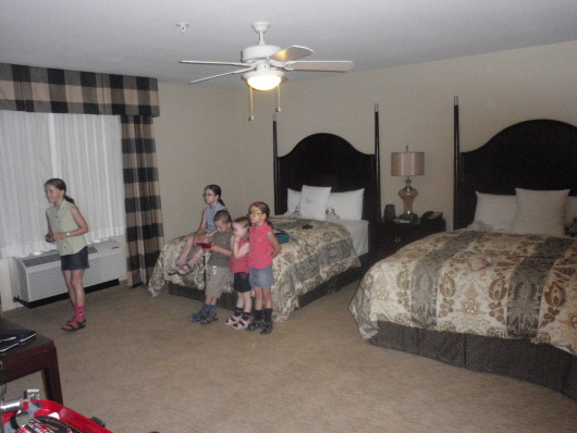 P7280168a.jpg