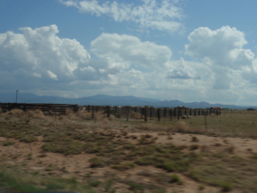 P7300336a.jpg