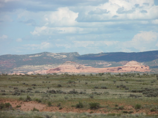 P7310427a.jpg