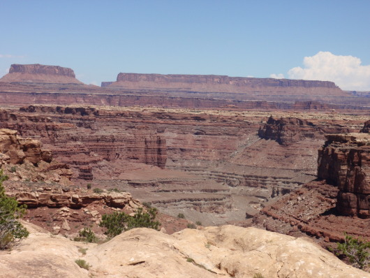 P8030774a.jpg