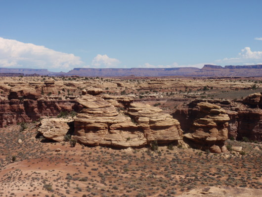 P8030779a.jpg