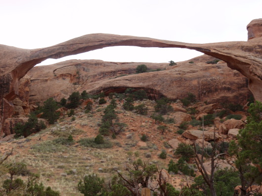 P8030826a.jpg
