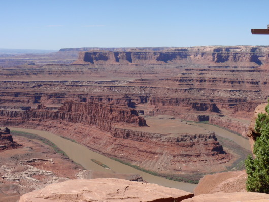 P8040879a.jpg
