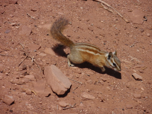 P8040914a.jpg