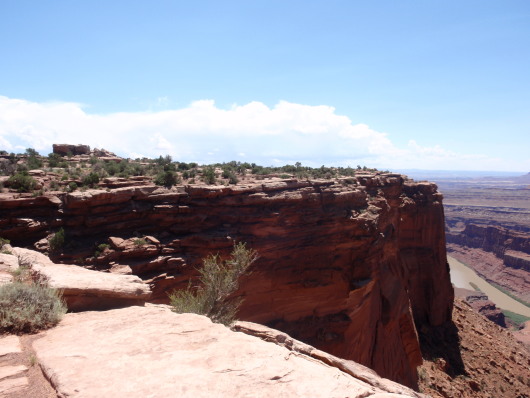 P8040933a.jpg
