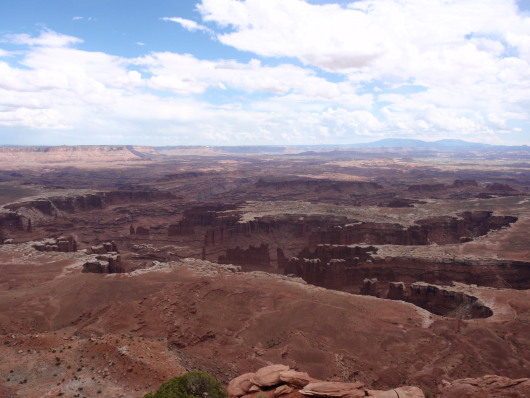 P8040944a.jpg