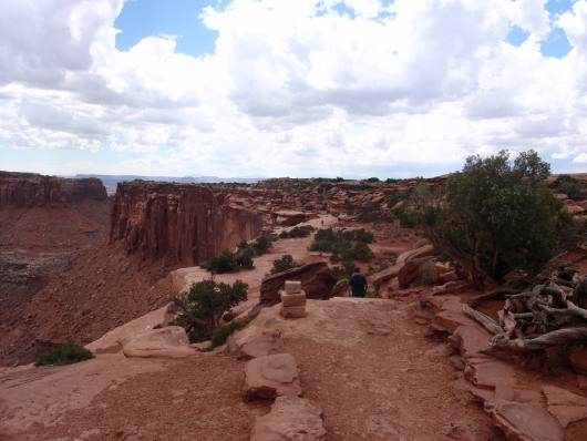 P8040947a.jpg