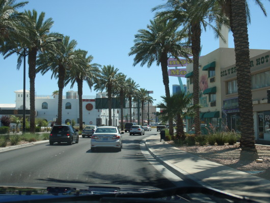 P8061023a.jpg