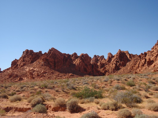 P8071094a.jpg