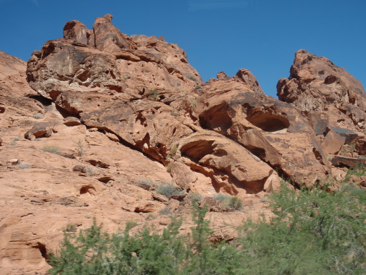 P8071098a.jpg