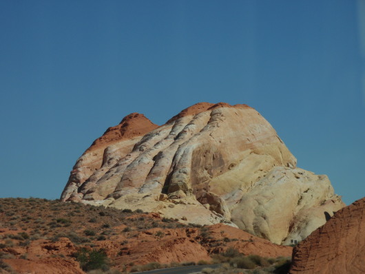 P8071106a.jpg