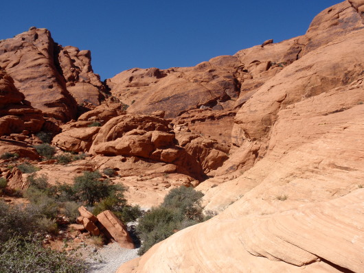 P8091267a.jpg