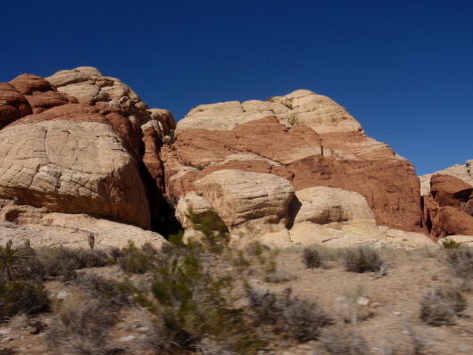 P8091289a.jpg