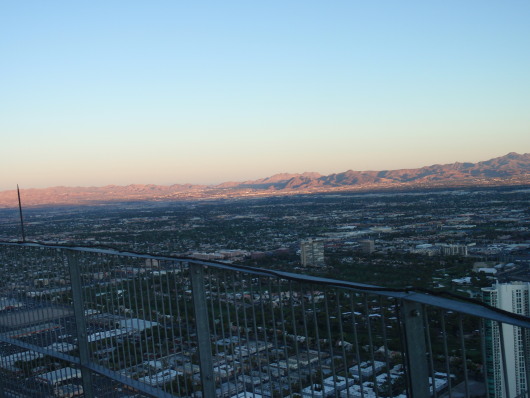 P8091380a.jpg
