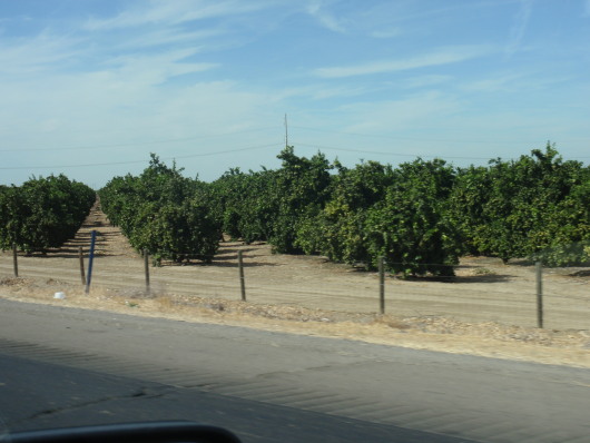 P8120215a.jpg