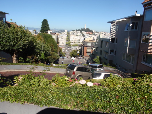 P8140367a.jpg
