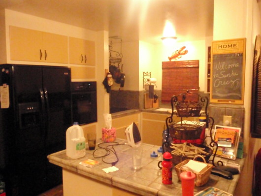 P8180269a.jpg