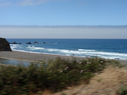 P8190302a.jpg