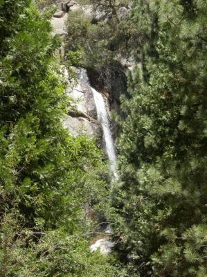 P7180618a.jpg