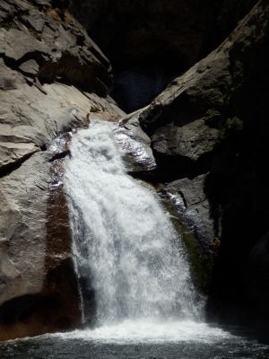 P7181059a.jpg
