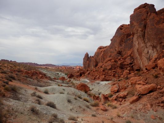 P7251617a.jpg