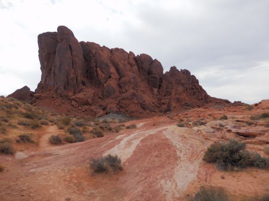 P7251622a.jpg