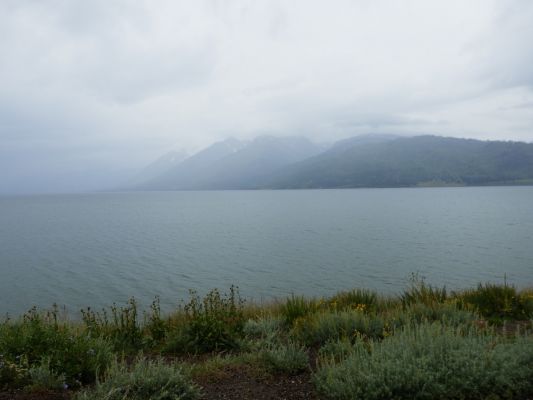 P7291965a.jpg