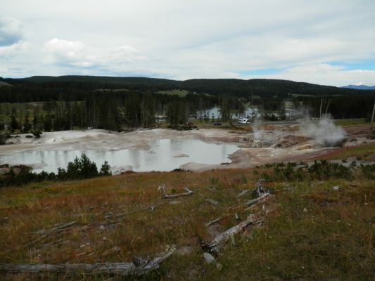 P7301080a.jpg