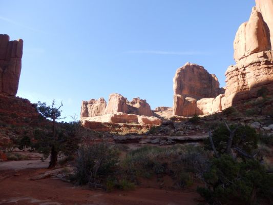 P8012238a.jpg